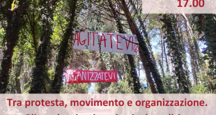 Tra protesta, movimento e organizzazione. Gli studenti universitari e la politica.